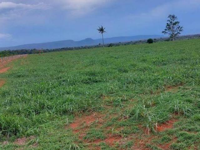 Sítio e chácara venda em Região Geográfica Imediata de Água Boa, Canarana