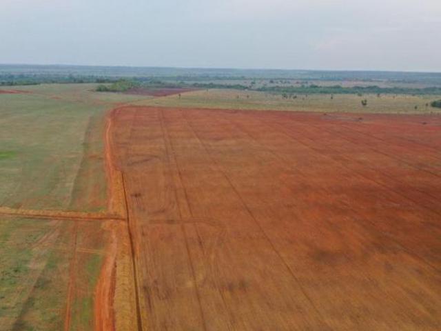 Sítio e chácara venda em Região Geográfica Imediata de Confresa - Vila Rica, Canabrava do Norte