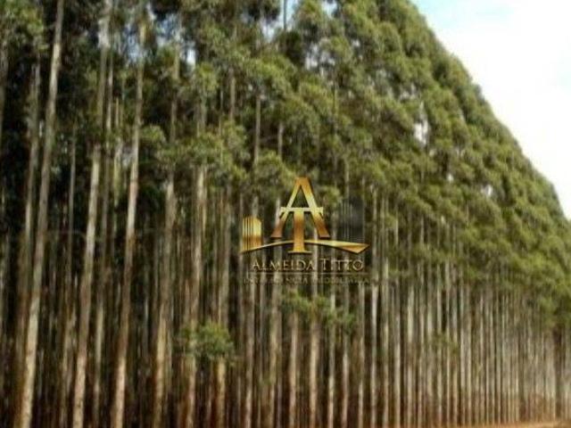 Sítio e chácara venda em Região Imediata de São João da Boa Vista, Casa Branca