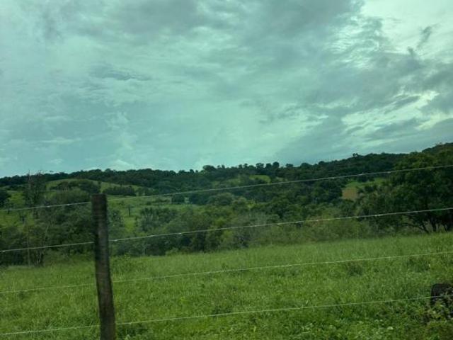 Sítio e chácara venda em Região Geográfica Imediata de Goiânia, Bela Vista de Goiás