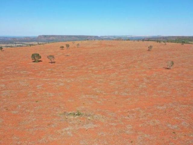 Sítio e chácara venda em Região Geográfica Imediata de Rondonópolis, Guiratinga
