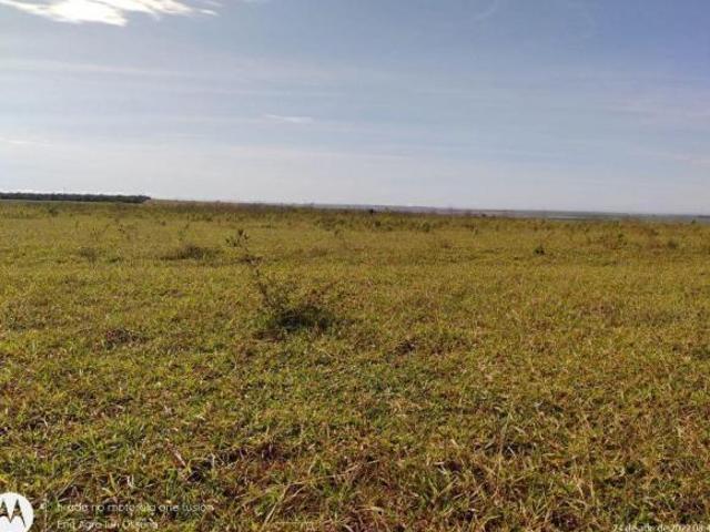 Sítio e chácara venda em Região Geográfica Imediata de Jaciara, Jaciara