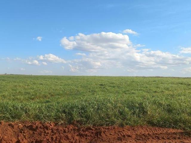 Sítio e chácara venda em Região Geográfica Imediata de Jaciara, Juscimeira