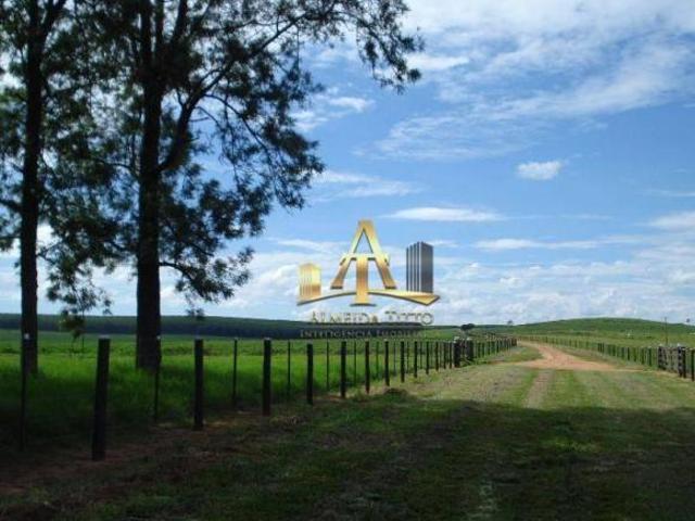 Sítio e chácara venda em Região Imediata de Marília, Marília