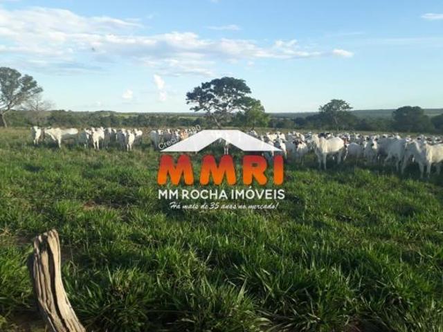 Sítio e chácara venda em Região Geográfica Imediata de Barra do Garças, Novo São Joaquim