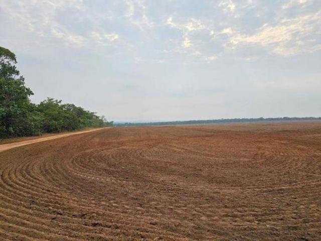 Sítio e chácara venda em Região Geográfica Imediata de Primavera do Leste, Paranatinga