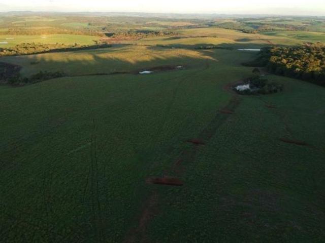 Sítio e chácara venda em Região Geográfica Imediata de Pato Branco, Mangueirinha