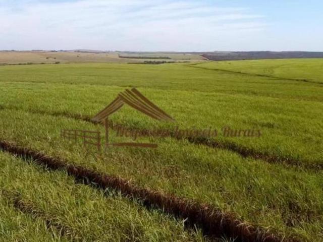 Sítio e chácara venda em Região Imediata de Andradina, Pereira Barreto