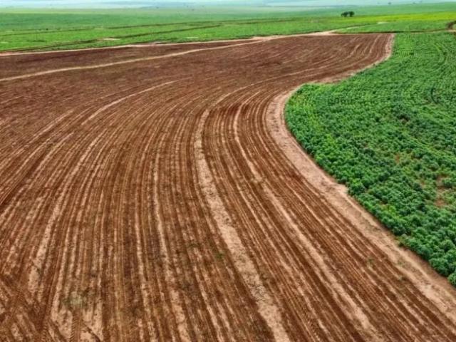 Fazenda venda em Região Imediata de Presidente Epitácio-Presidente Venceslau, Presidente Epitácio