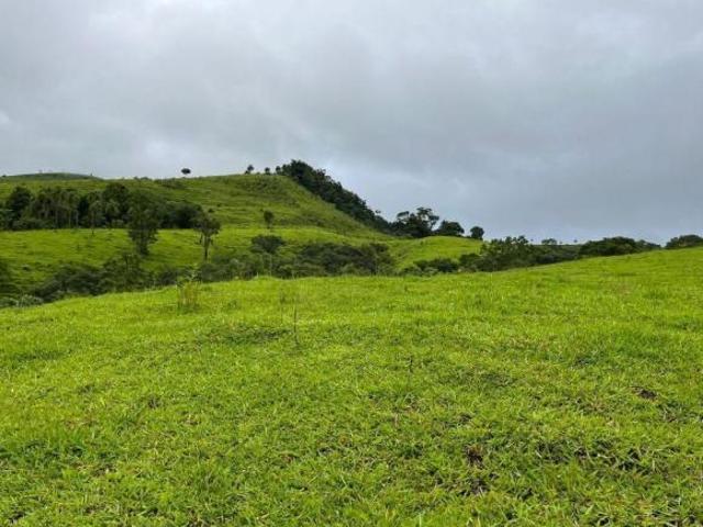 Sítio e chácara venda em Região Geográfica Imediata de Telêmaco Borba, Reserva