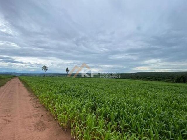 Sítio e chácara venda em Região Imediata de São João da Boa Vista, Casa Branca