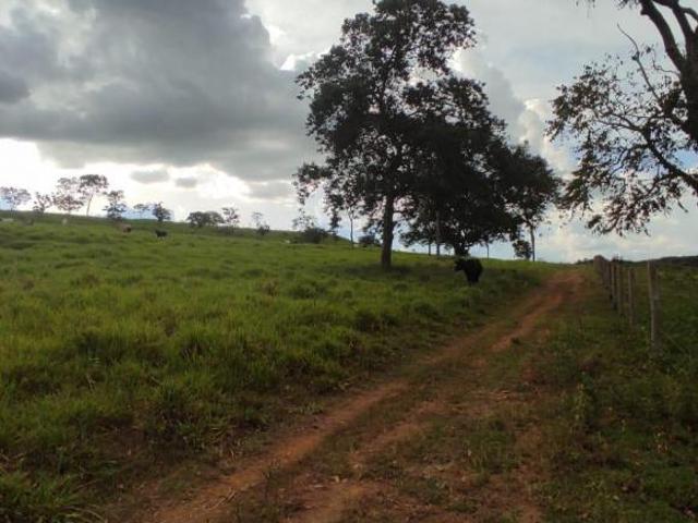 Sítio e chácara venda em Região Geográfica Imediata de Caldas Novas-Morrinhos, Rio Quente