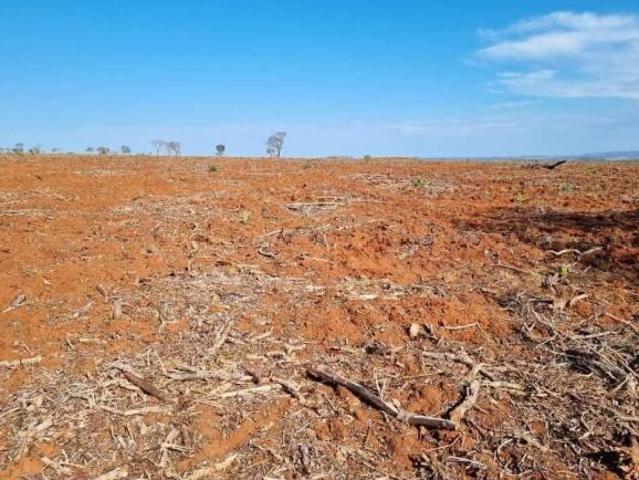 Sítio e chácara venda em Região Geográfica Imediata de Rondonópolis, Tesouro