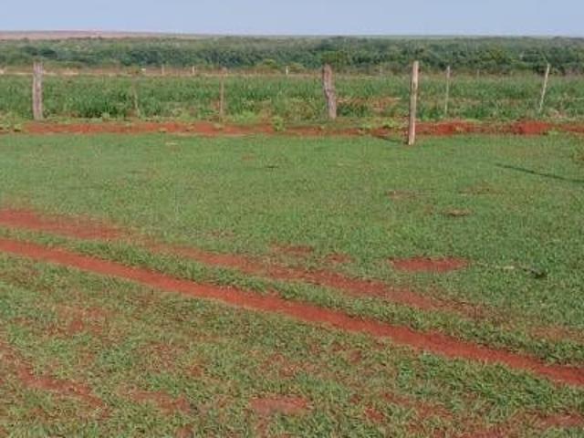Sítio e chácara venda em Região Geográfica Imediata de Rondonópolis, Tesouro