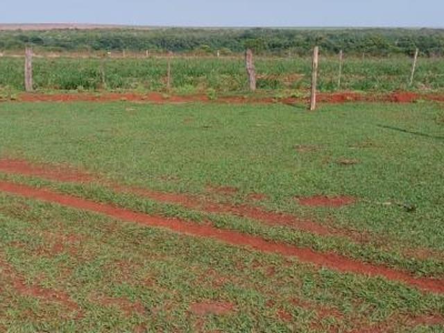 Sítio e chácara venda em Região Geográfica Imediata de Rondonópolis, Tesouro