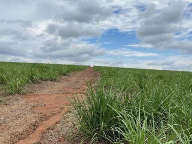 Sítio e chácara venda em Região Imediata de Araraquara, Araraquara