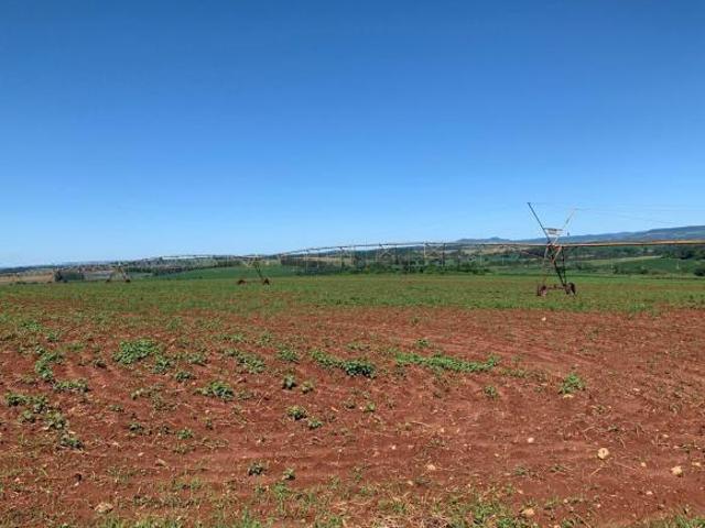 Sítio e chácara venda em Região Geográfica Imediata de Sete Lagoas, Região Metropolitana de Belo Horizonte