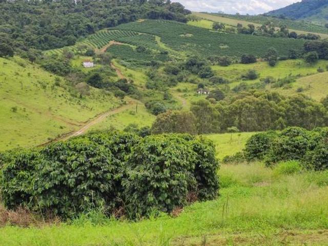 Sítio e chácara venda em Jardim dos Ypês, Ouro Fino
