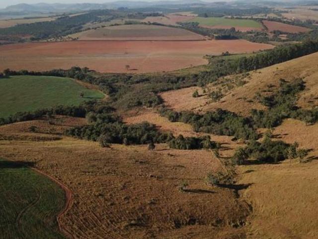 Sítio e chácara venda em Região Imediata de São José do Rio Pardo-Mococa, Caconde