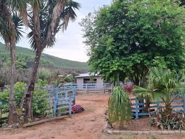 Sítio e chácara venda em Guaratinguetá, Região Geográfica Intermediária de São José dos Campos