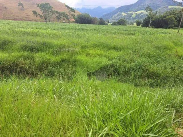 Fazenda venda em Região Geográfica Imediata de Macaé-Rio das Ostras, Macaé