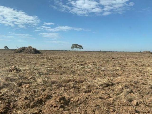 Sítio e chácara venda em Região Geográfica Imediata de Água Boa, Ribeirão Cascalheira