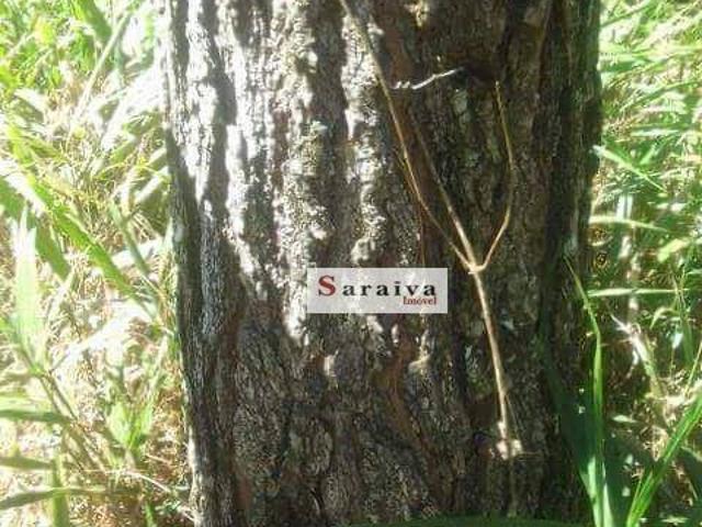 Fazenda venda em Região Imediata de Avaré, Avaré