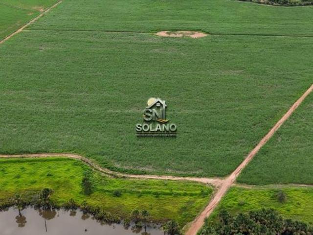Sítio e chácara venda em Região Geográfica Imediata de Ceres - Rialma - Goianésia, Goianésia