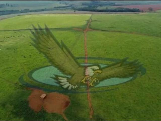 Sítio e chácara venda em Região Geográfica Imediata de Alfenas, Machado