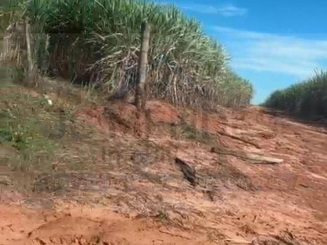 Sítio e chácara venda em Promissão
