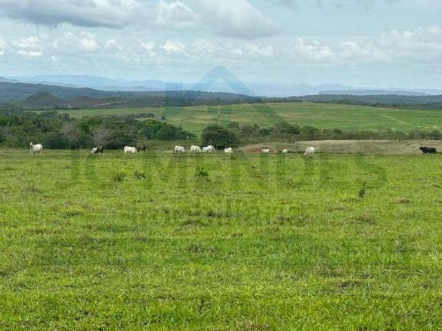 Sítio e chácara venda em Tesouro, Região Geográfica Intermediária de Rondonópolis