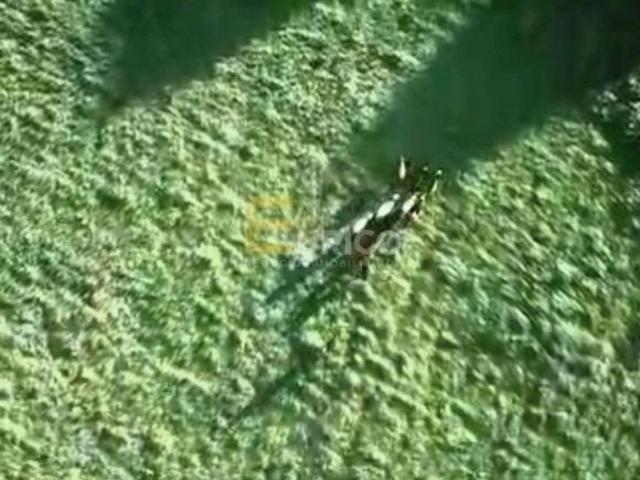 Sítio e chácara venda em Região Geográfica Imediata de São Lourenço, São Sebastião do Rio Verde
