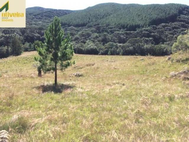 Sítio e chácara venda em Região Geográfica Imediata de Caxias do Sul, São Francisco de Paula