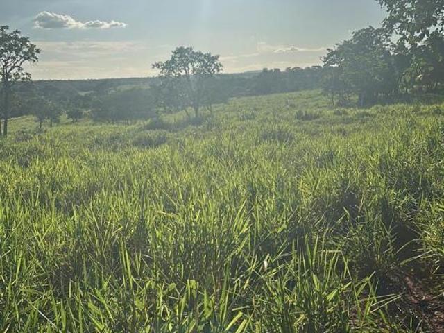 Sítio e chácara venda em Região Geográfica Imediata de Abaeté, Biquinhas