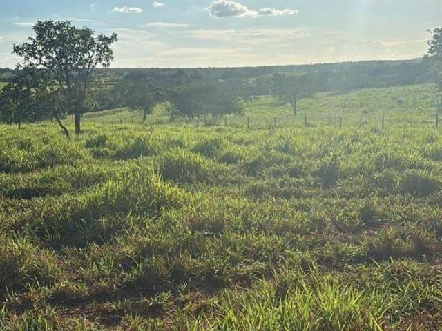 Sítio e chácara venda em Região Geográfica Imediata de Abaeté, Biquinhas