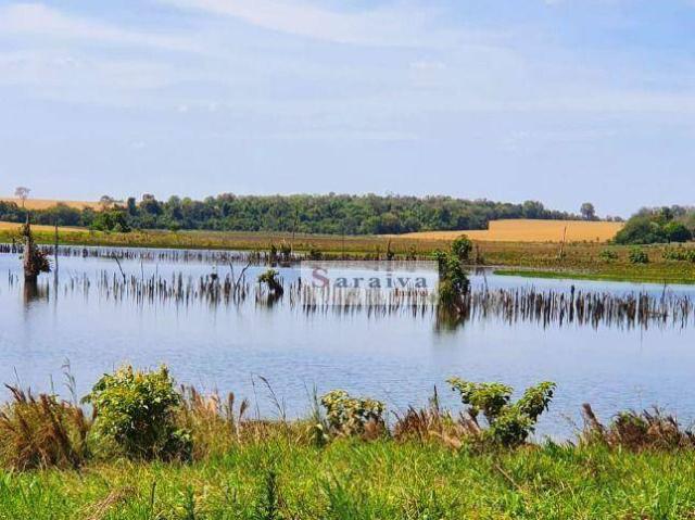 Fazenda venda em Região Imediata de Avaré, Paranapanema