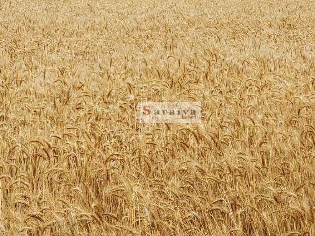 Fazenda venda em Região Imediata de Avaré, Paranapanema