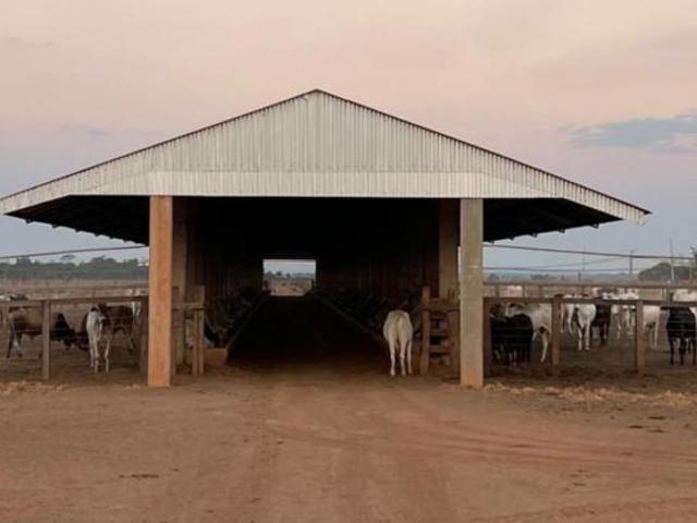 Sítio e chácara venda em Região Geográfica Imediata de Confresa - Vila Rica, Confresa