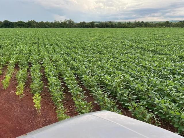 Fazenda venda em Região Geográfica Imediata de Guaraí, Santa Maria do Tocantins