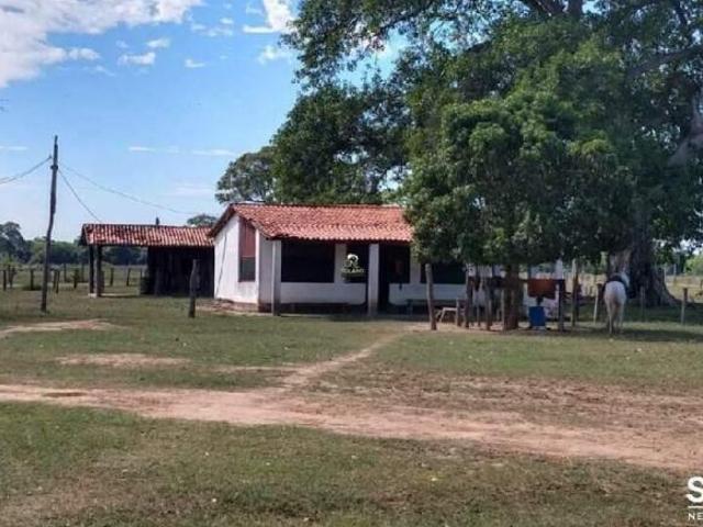 Sítio e chácara venda em Região Geográfica Imediata de Cuiabá, Poconé
