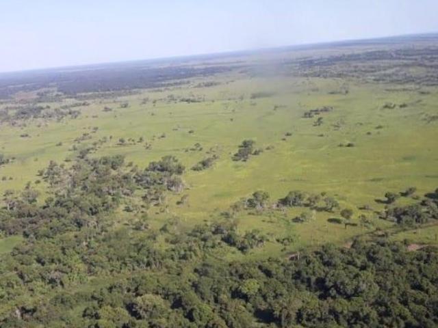 Sítio e chácara venda em Região Geográfica Imediata de Cuiabá, Poconé