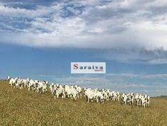 Fazenda venda em Região Imediata de Avaré, Paranapanema