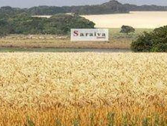Fazenda venda em Região Imediata de Avaré, Paranapanema