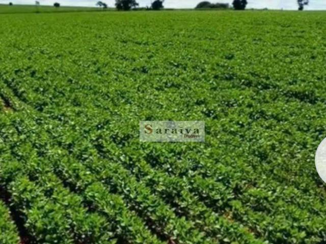 Fazenda venda em Região Geográfica Imediata de Araguaína, Araguaína