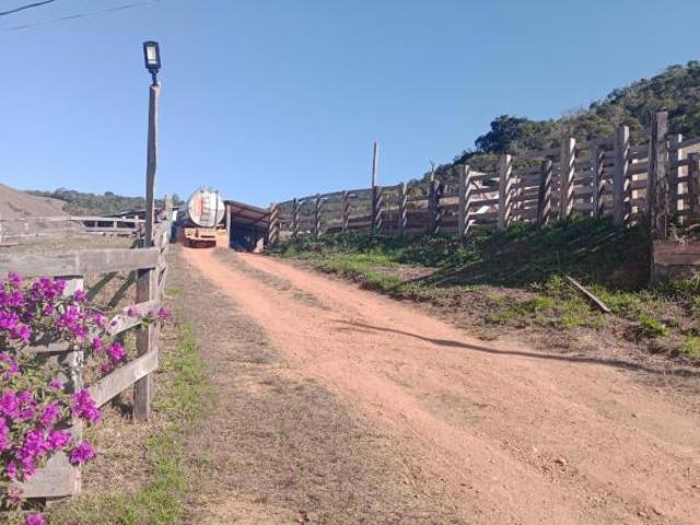 Sítio e chácara venda em Região Geográfica Imediata de Caxambu - Baependi, Serranos