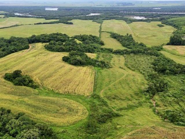 Sítio e chácara venda em Região Geográfica Imediata de Santa Cruz do Sul, Vale Verde