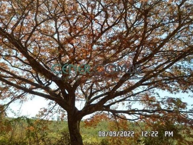 Sítio e chácara venda em Região Geográfica Imediata de Curvelo, Buenópolis