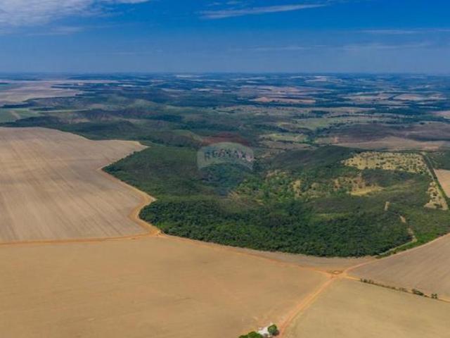 Sítio e chácara venda em Região Geográfica Imediata de Luziânia, Região Integrada de Desenvolvimento do Distrito Federal e Entorno
