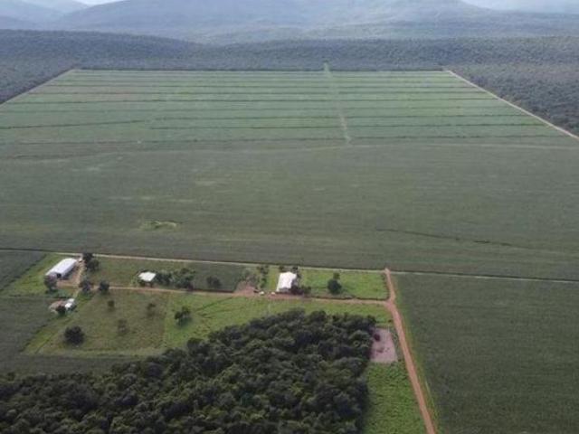 Sítio e chácara venda em Região Geográfica Imediata de Cáceres, Antônio João
