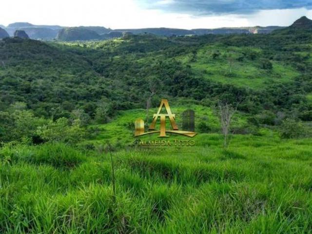 Sítio e chácara venda em Região Geográfica Imediata de Rondonópolis, Pedra Preta